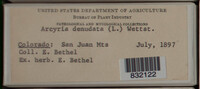 Image Associated With the Occurence